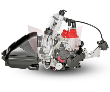 Motor ROTAX FR 125 JuniorMAX Evo