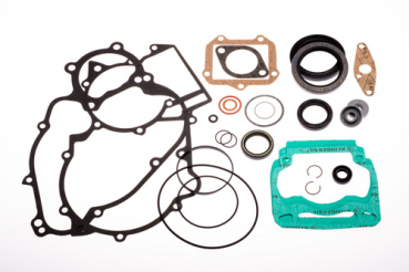 Rotax Dichtungssatz Motor DD2