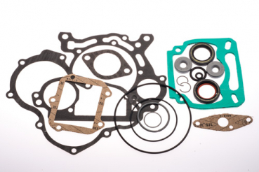Rotax Dichtungssatz Motor Max
