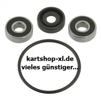 Reparatursatz Wasserpumpe Standard
