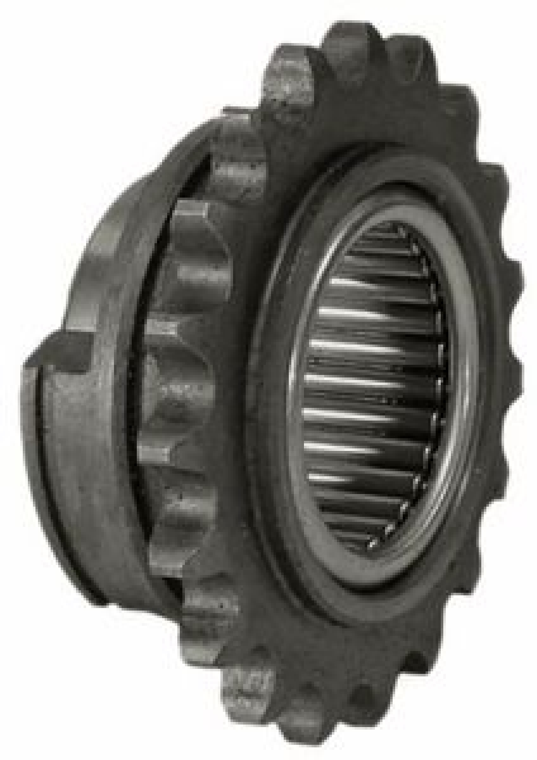Motorritzel World Formula 219