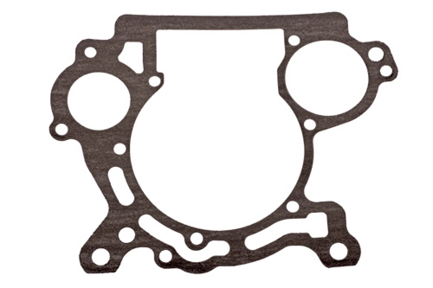 Rotax Gehäusedichtung MAX